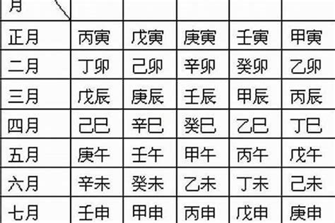 八字日柱代表|日柱 日柱代表什么